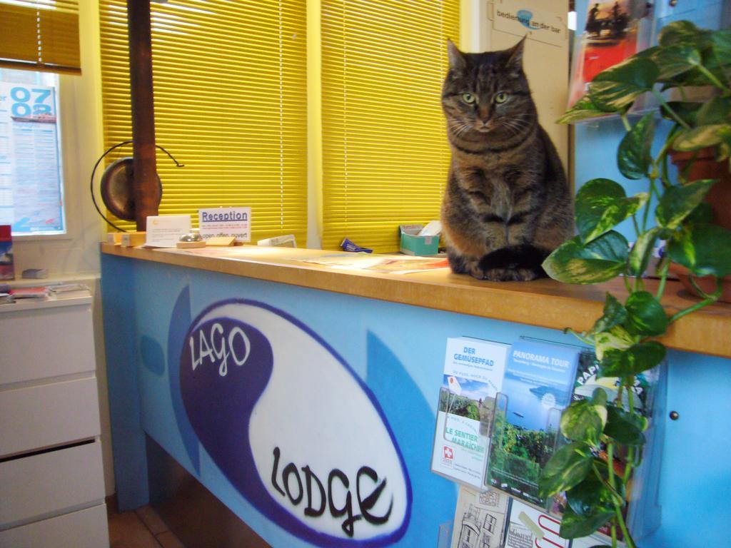 Swiss Hostel Lago Lodge Biel Dış mekan fotoğraf